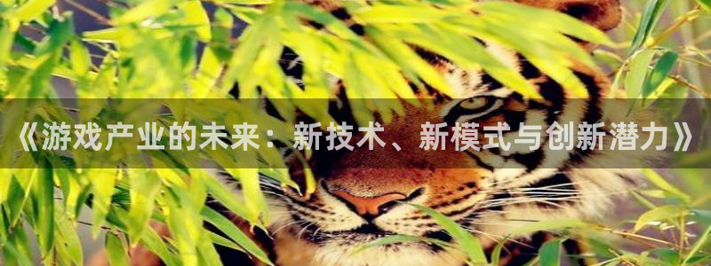 极悦娱乐注册登录平台：《游戏产业的未来：新技术、新模式与创新