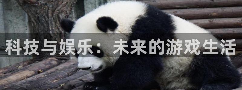 极悦娱乐娱乐