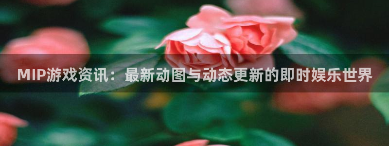 极悦娱乐咨询：MIP游戏资讯：最新动图与动态更新的即时娱乐世