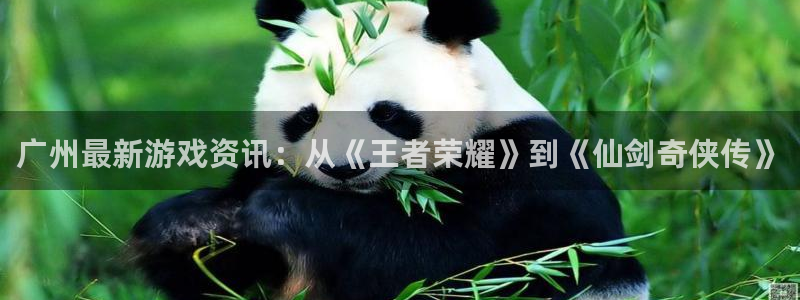 极悦娱乐app下载：广州最新游戏资讯：从《王者荣耀》到《仙剑