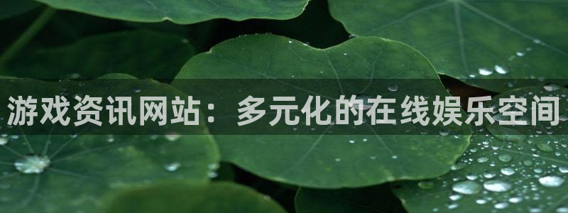 极悦娱乐注册：游戏资讯网站：多元化的在线娱乐空间
