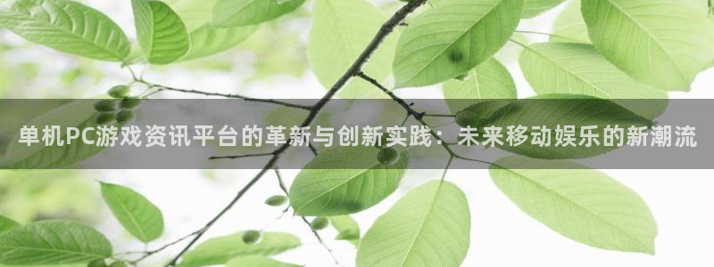 极悦娱乐测速登陆：单机PC游戏资讯平台的革新与创新实践：未来