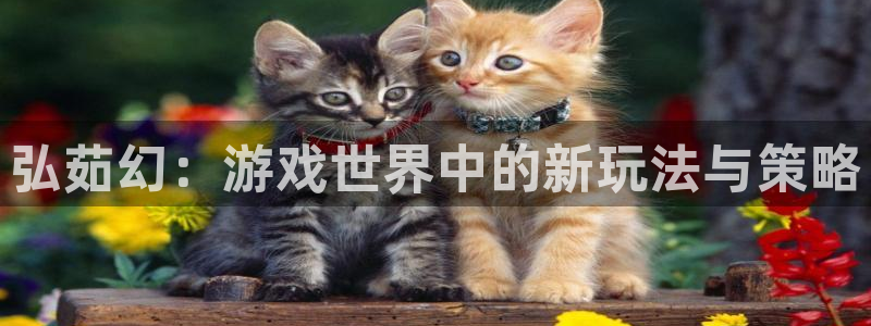 极悦娱乐网页登录入口：弘茹幻：游戏世界中的新玩法与策略