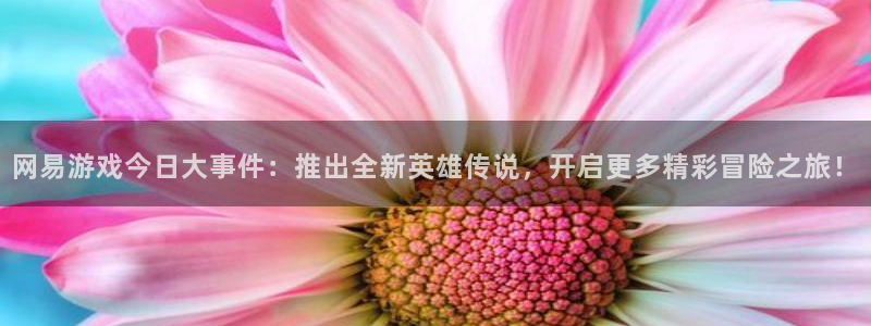 极悦娱乐app下载地址：网易游戏今日大事件：推出全新英雄传说