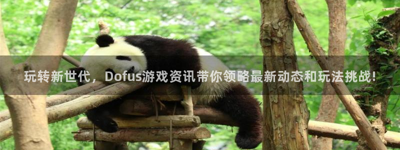 极悦娱乐网址注册：玩转新世代，Dofus游戏资讯带你领略最新