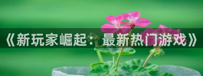 极悦娱乐网页登录入口官网：《新玩家崛起：最新热门游戏》