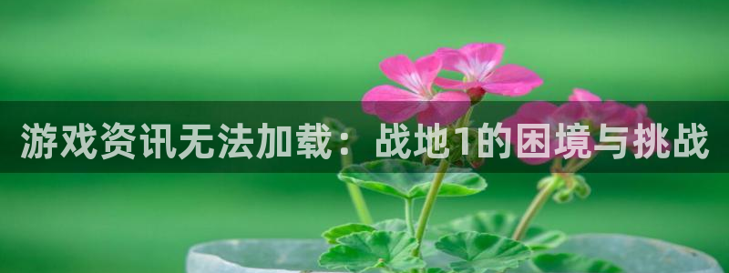 极悦娱乐是什么：游戏资讯无法加载：战地1的困境与挑战