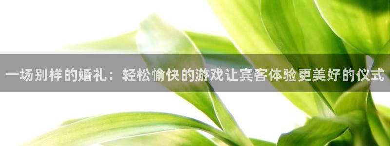 极悦娱乐测速登陆：一场别样的婚礼：轻松愉快的游戏让宾客体验更